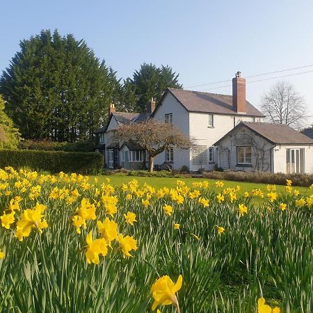 Lower House B&B Adforton Leintwardine Zewnętrze zdjęcie