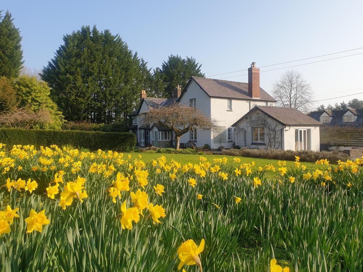 Lower House B&B Adforton Leintwardine Zewnętrze zdjęcie